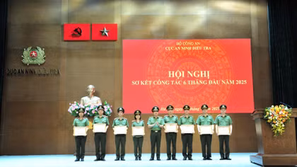 Điều tra bằng sự thấu hiểu