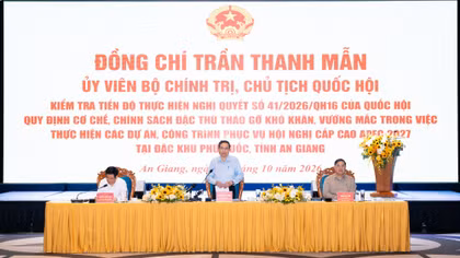 Chủ tịch Quốc hội Trần Thanh Mẫn phát biểu tại buổi làm việc.