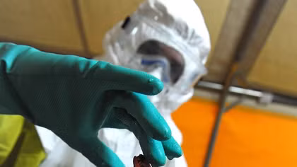  Bộ Y tế khuyến cáo khẩn về dịch Ebola