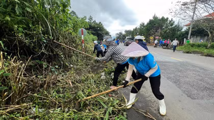 Sau mưa bão, người dân cảnh giác với bệnh "sốt mò"