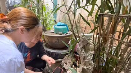 Hơn 50.000 người mắc sốt xuất huyết, 5 ca tử vong