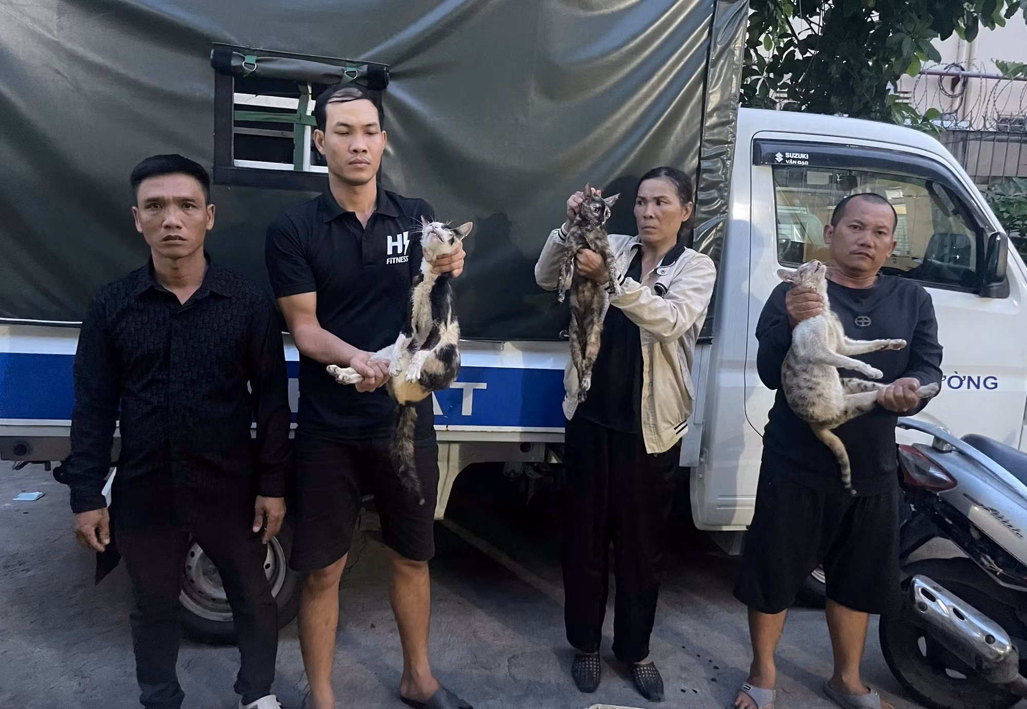 Các đối tượng khai nhận đã tổ chức hoạt động bẫy bắt, thu gom mèo trên nhiều địa bàn trong 3 năm qua.