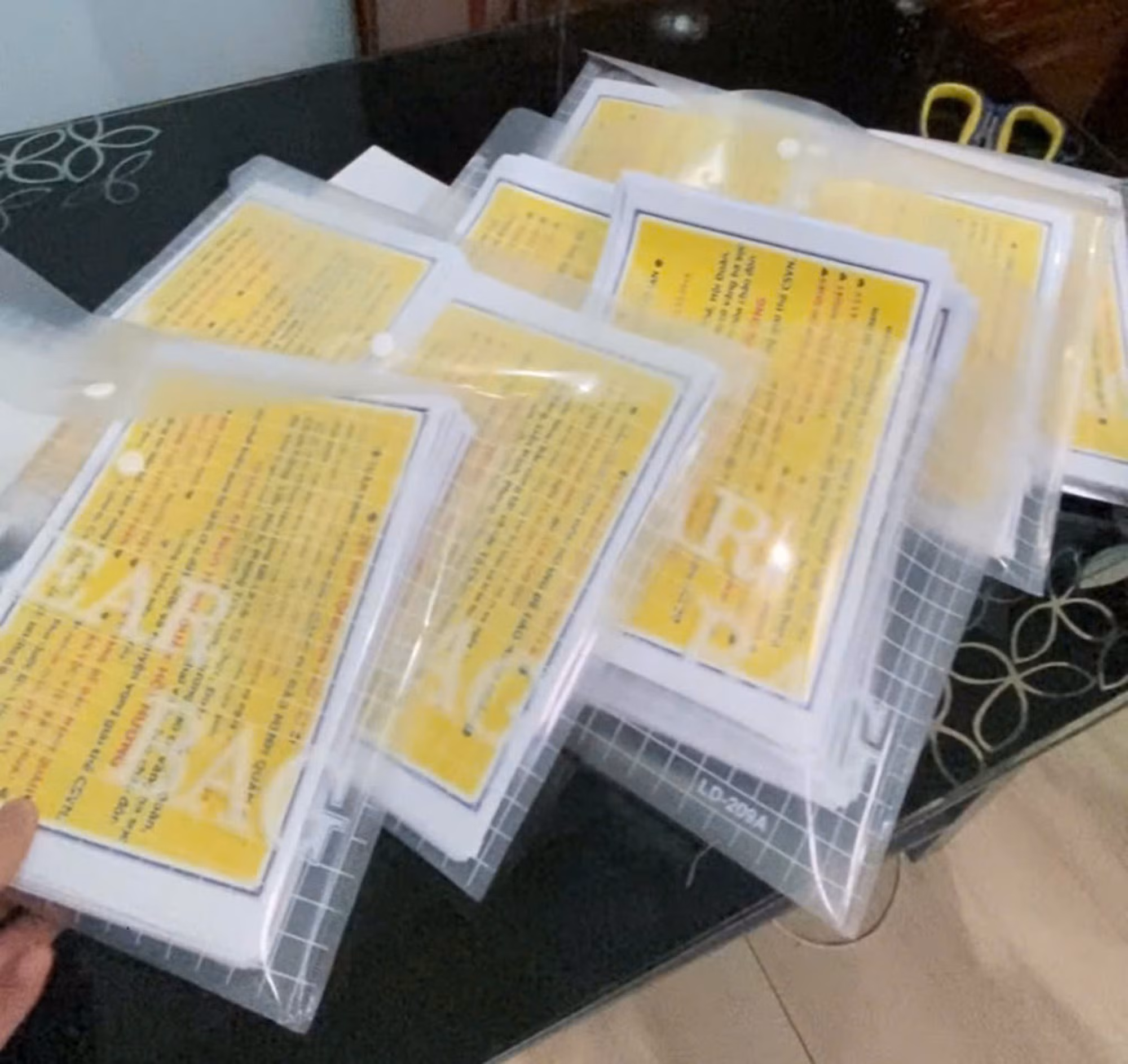 Cơ quan An ninh điều tra thu giữ 1.000 tờ truyền đơn của Nguyễn Thị Hường.