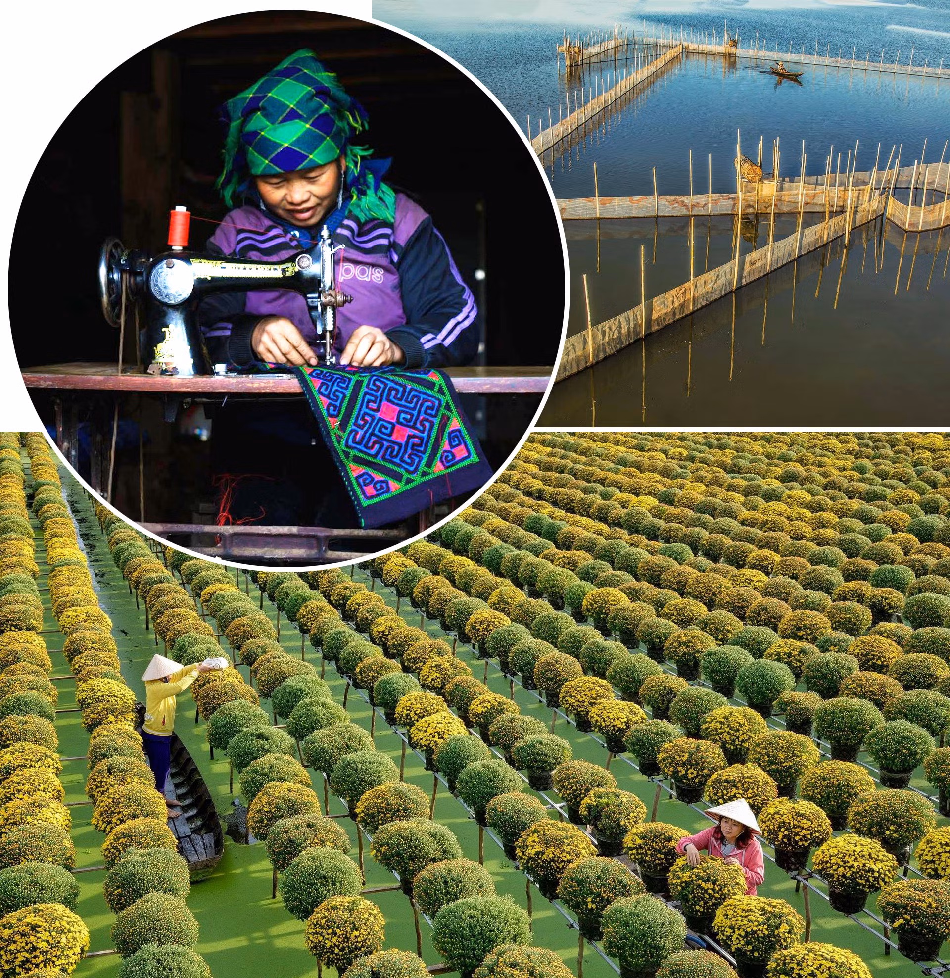 4-7.jpg
