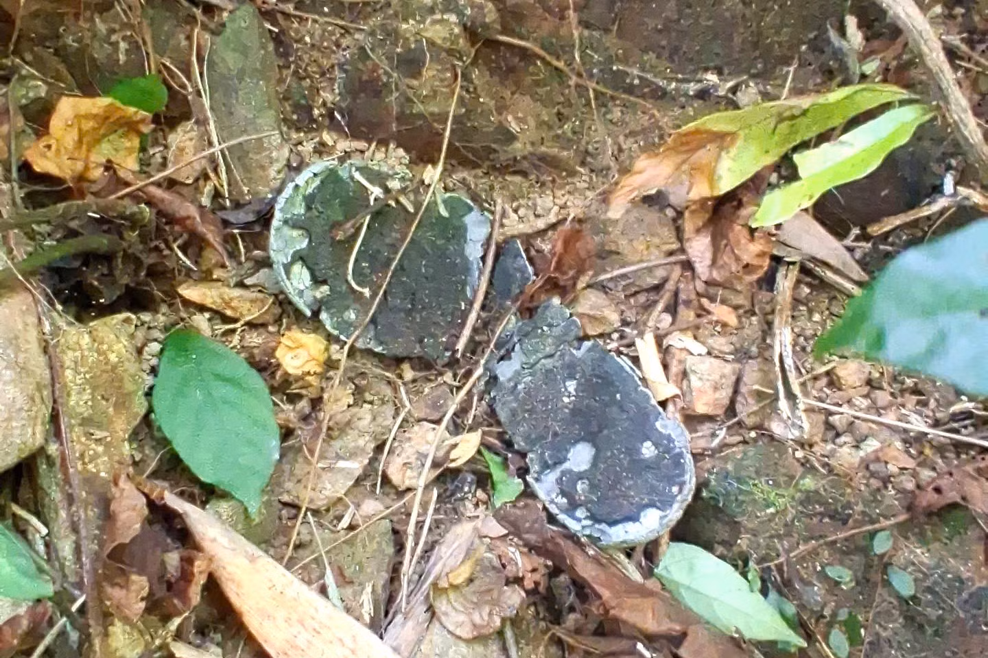 tin-moi-4.jpg