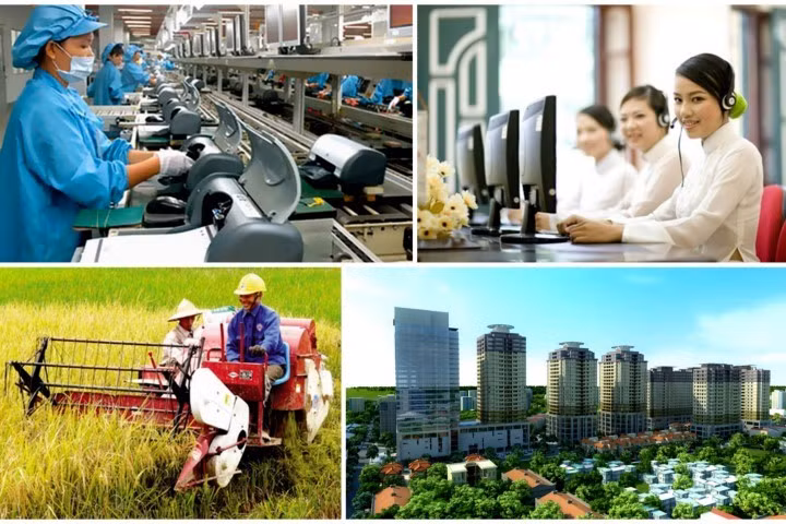 Chung niềm tin vào con đường phát triển của đất nước -0