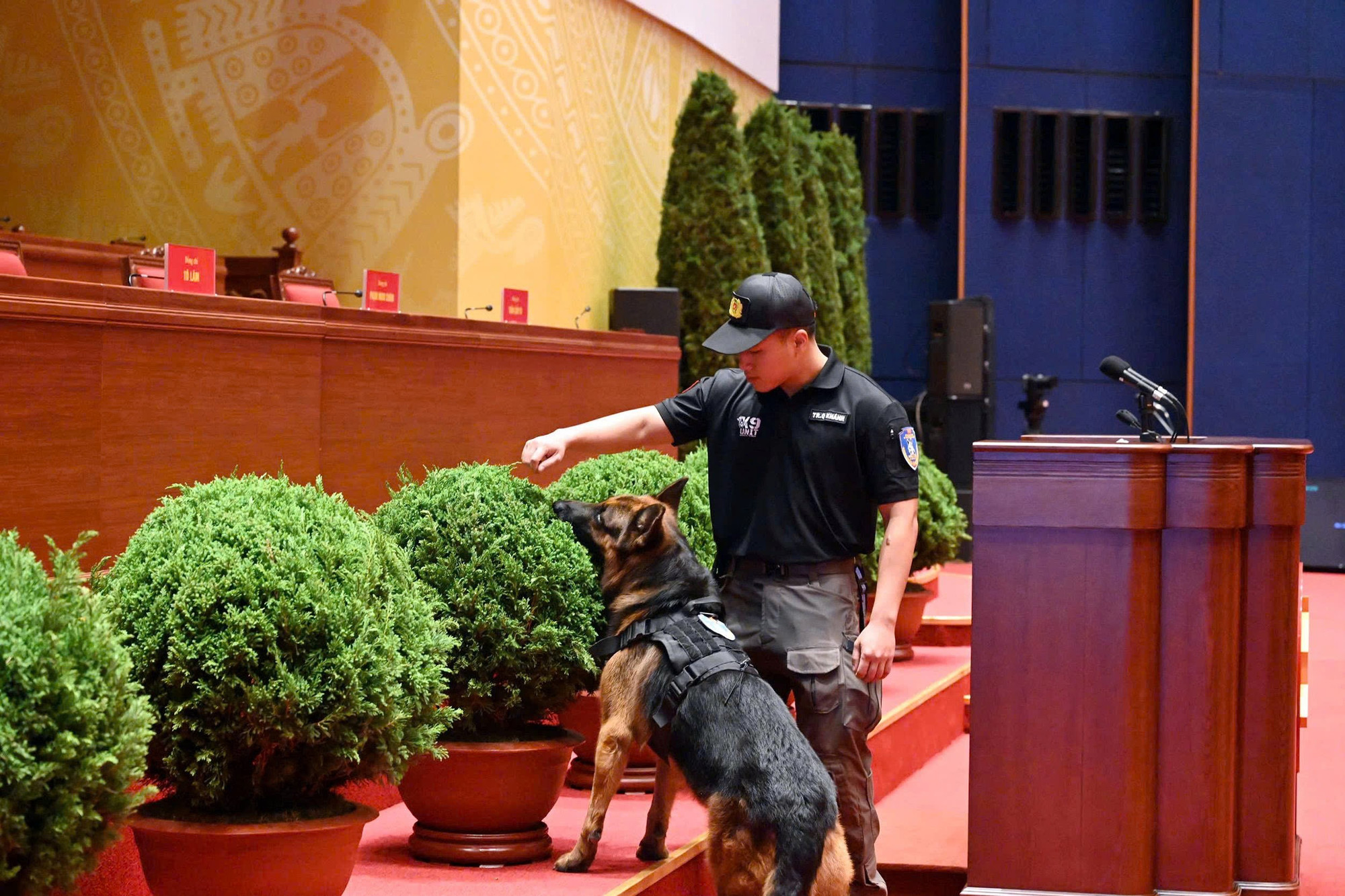 Bảo đảm an ninh an toàn cho Lễ Khai mạc Đại hội XIV của Đảng -7