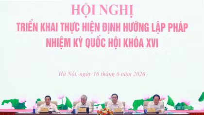 Chấm dứt tình trạng luật chờ nghị định, nghị định chờ thông tư