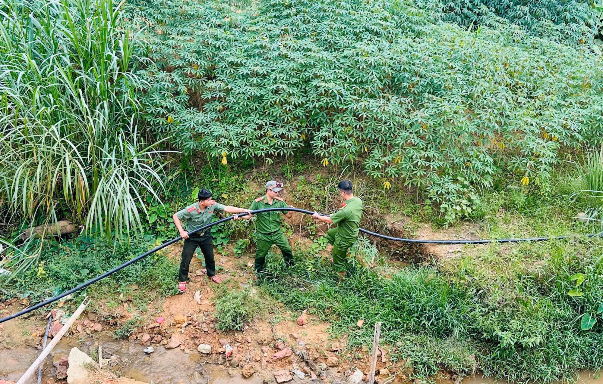 hoc-sinh-2.jpg