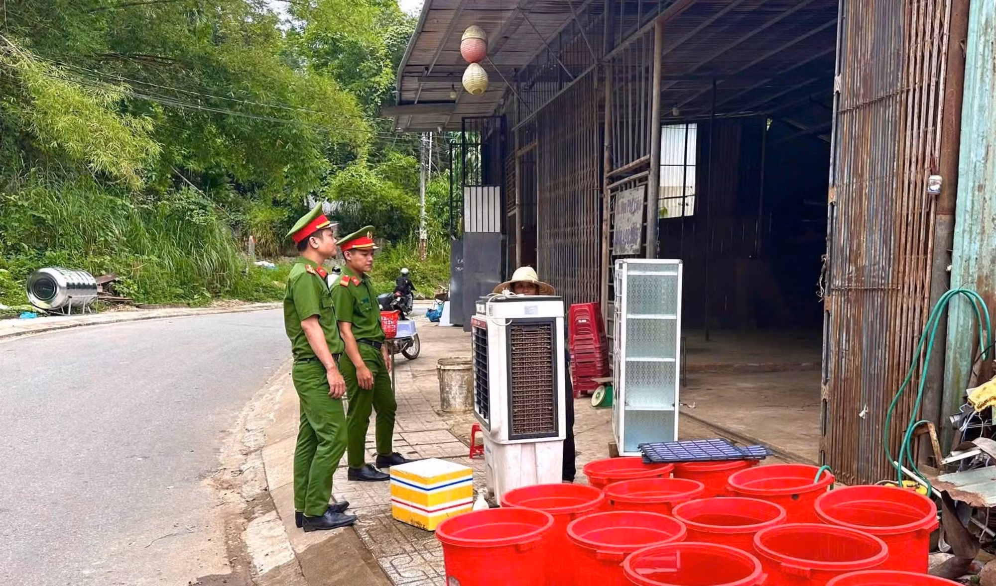 ca-nam-tra-my-1.jpg