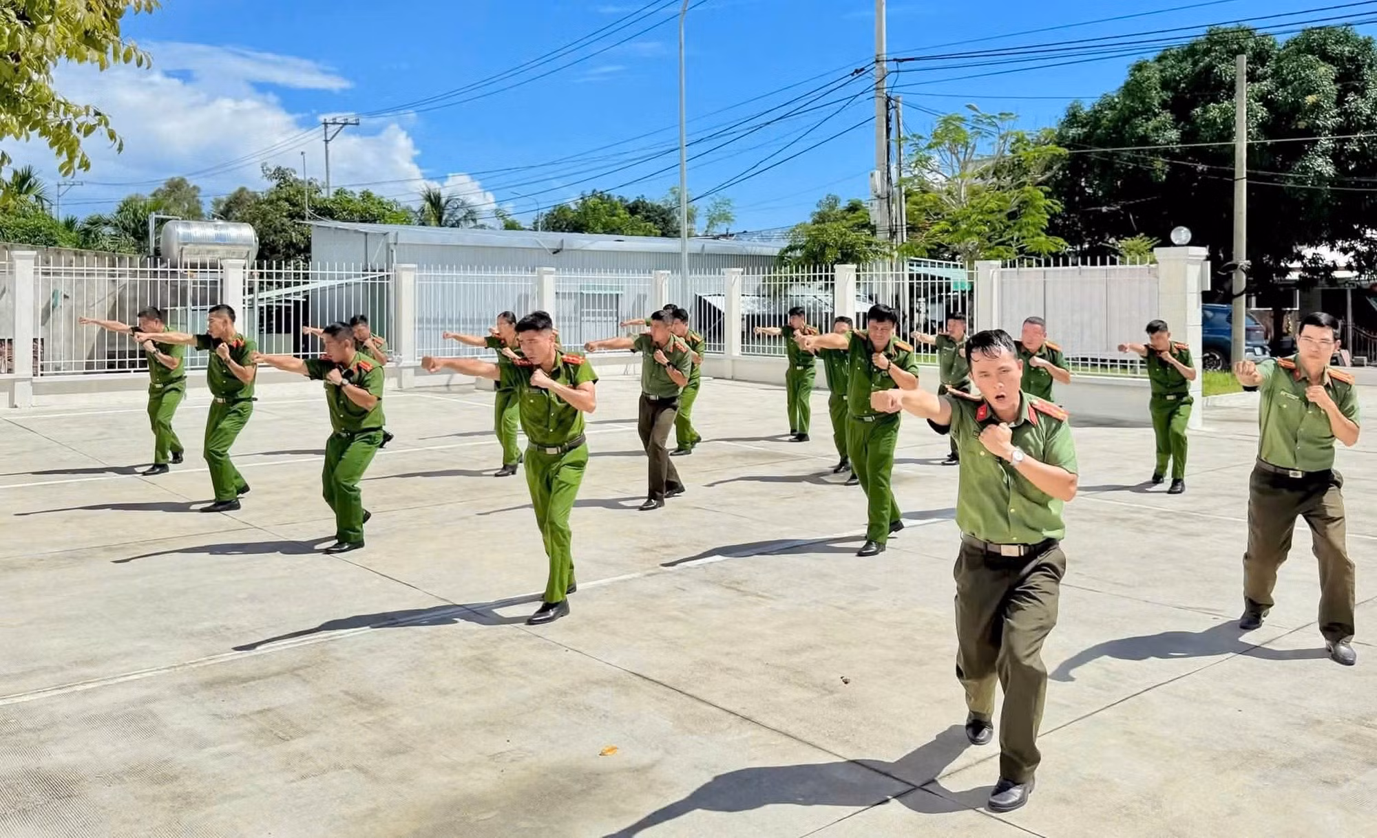 ca-duy-nghia-473.jpg