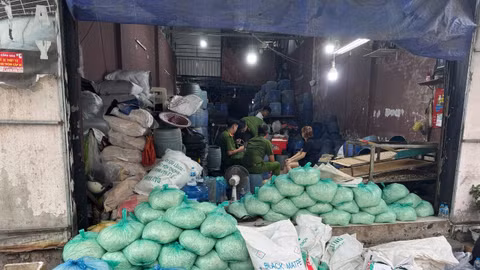 Khởi tố, bắt tạm giam 4 đối tượng dùng "nước kẹo" hóa chất sản xuất hơn 1.000 tấn giá đỗ 