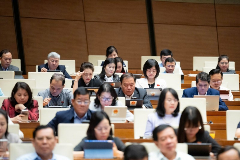 Các đại biểu Quốc hội dự phiên họp.