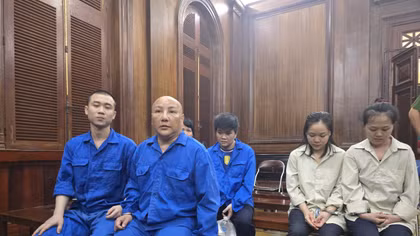 Mua bán trẻ em, Việt kiều Mỹ và đồng phạm lãnh án