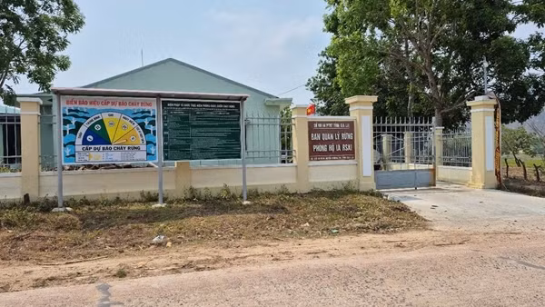 Tạm đình chỉ công tác Giám đốc Ban quản lý rừng để phục vụ điều tra
