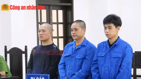 Nhóm bán "cỏ Mỹ" ở Cà Mau lĩnh án 27 năm tù