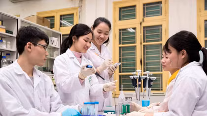"Túi khôn" và tư tưởng chỉ đạo của Tổng Bí thư, Chủ tịch nước Tô Lâm