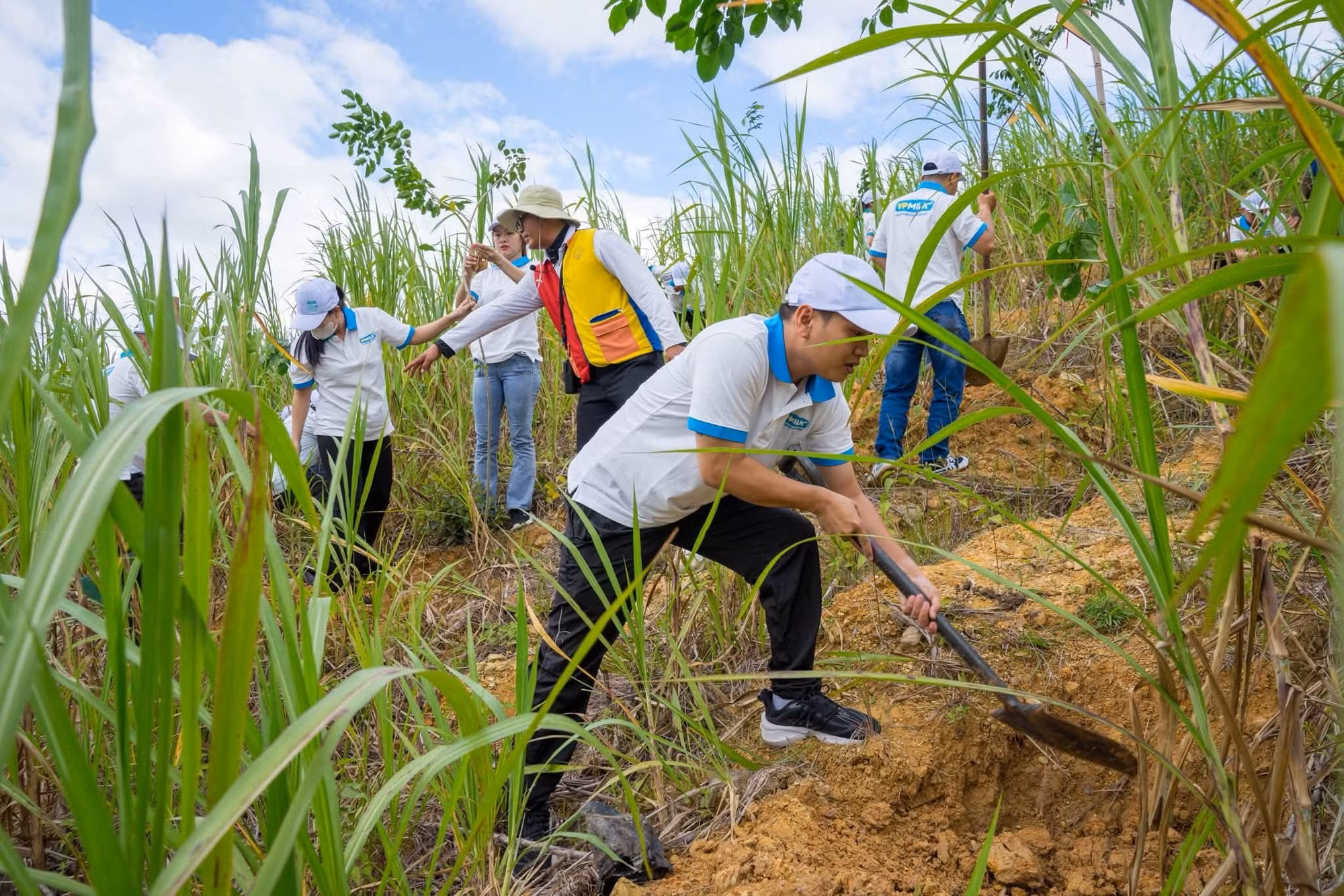 Các tình nguyện viên trồng rừng ở Samten Hills Dalat.