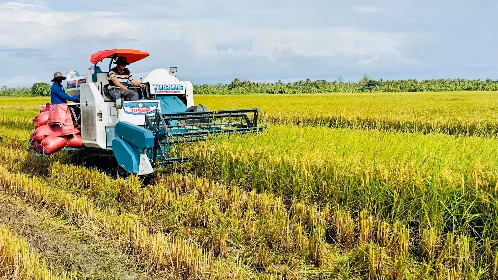 Khẳng định tầm vóc, bản lĩnh và tinh thần Việt ảnh 3