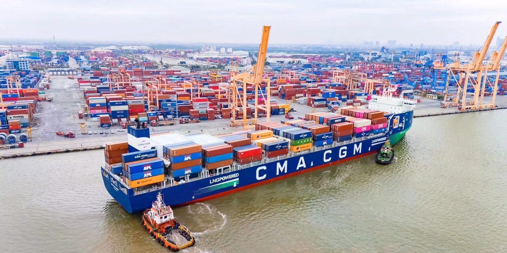 Khẳng định tầm vóc, bản lĩnh và tinh thần Việt ảnh 4