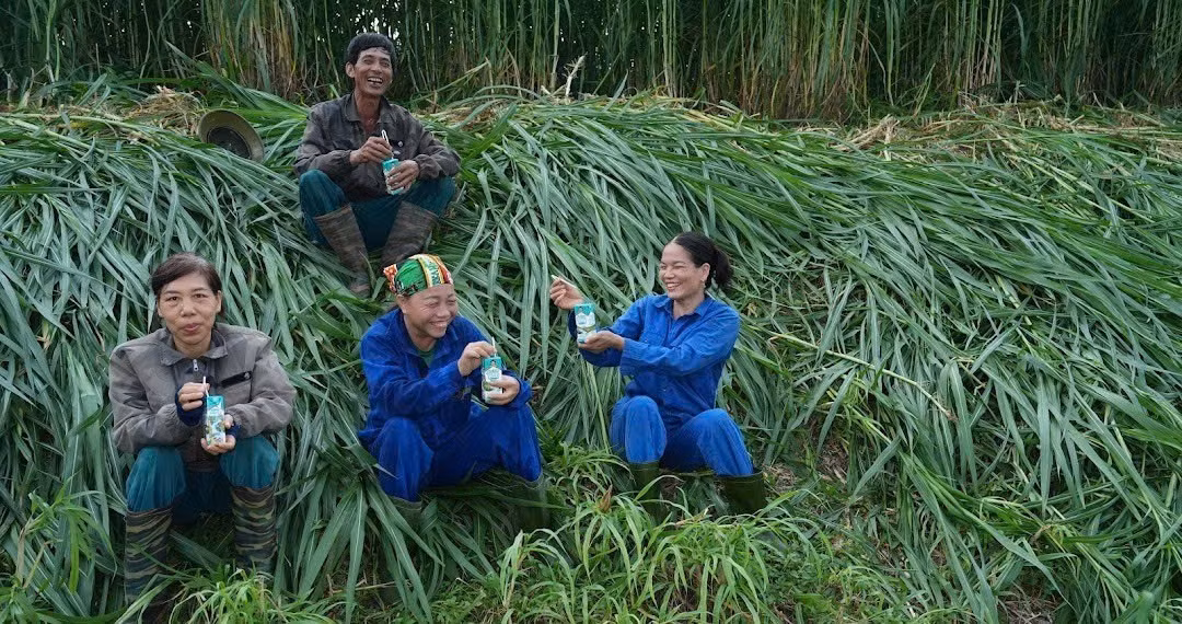 Mỗi hộp Sữa tươi Kun góp phần hình thành những giấc mơ an cư, ấm no trên những dải đất bãi bồi xanh mát của Tuyên Quang.