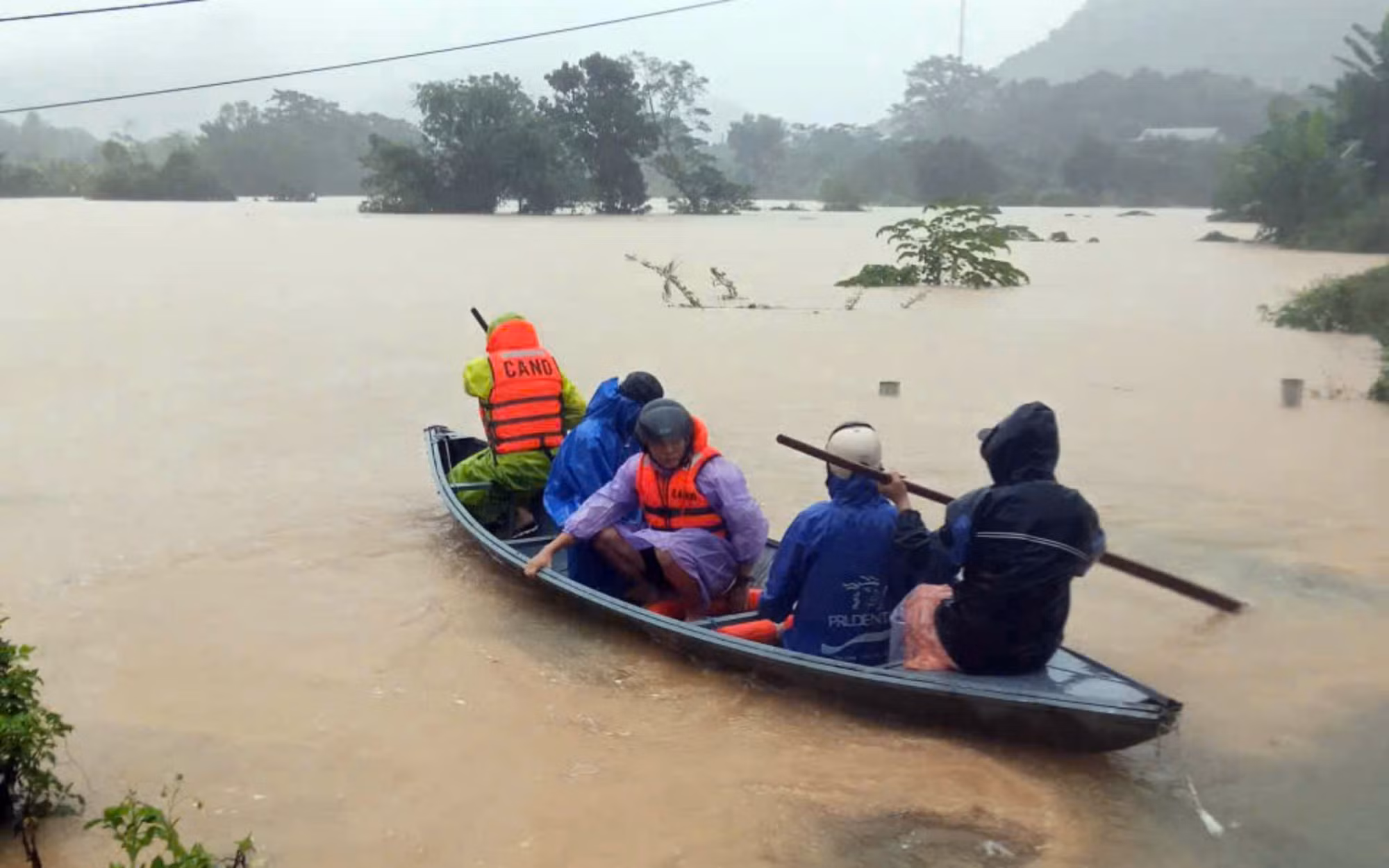 bai-so-216-n-ngoc-thi.jpg