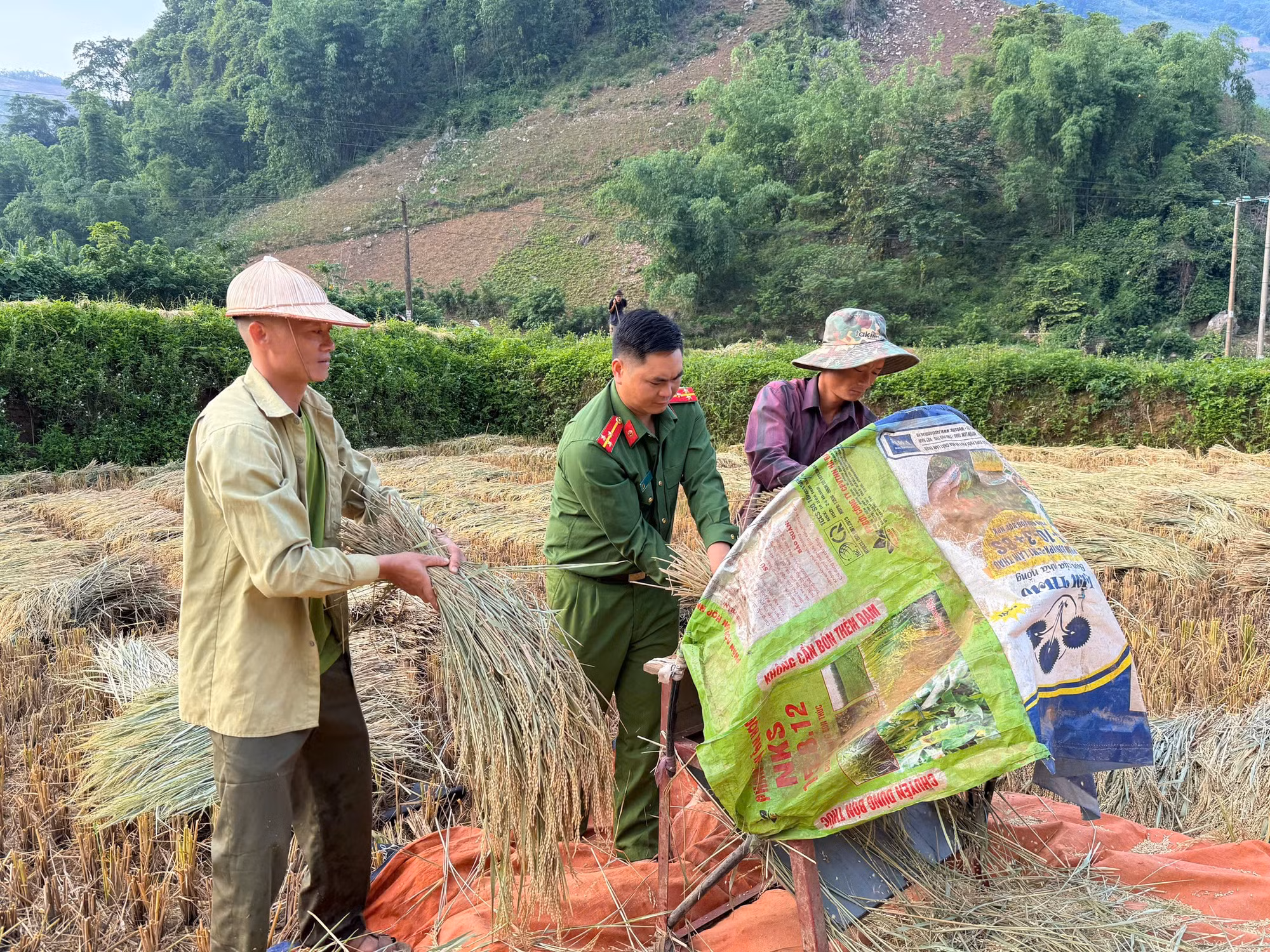Cán bộ Công an xã Long Hẹ hỗ trợ người dân thu hoạch.