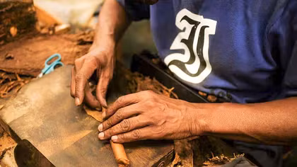 Chuyện ở nhà máy cigar lâu đời nhất thế giới