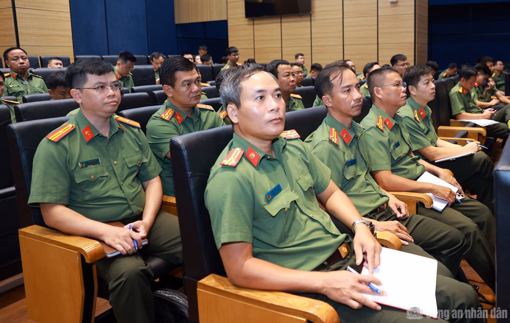 cand_br_k-ha3753.jpg