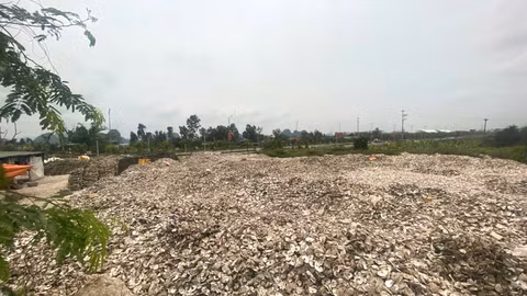 Khởi tố chủ cơ sở sản xuất đổ hơn 324 tấn vỏ hàu ra môi trường