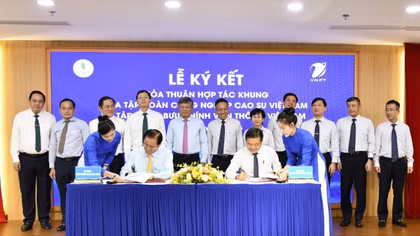 VNPT và VRG nghiên cứu phát triển mô hình khu công nghiệp công nghệ số