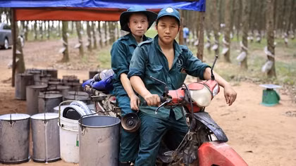 Vợ chồng công nhân người dân tộc thiểu số ở một tỉnh miền núi phía Bắc tại Đội sản xuất Long Thành, Tổng Công ty Cao su Đồng Nai.