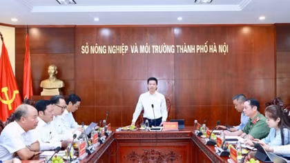 Hà Nội tăng tốc hoàn thành nhiệm vụ nông nghiệp, môi trường những tháng cuối năm