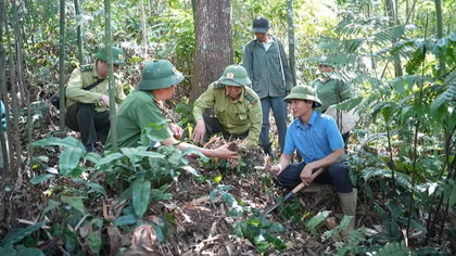 Lào Cai chủ động phòng cháy rừng mùa nắng nóng