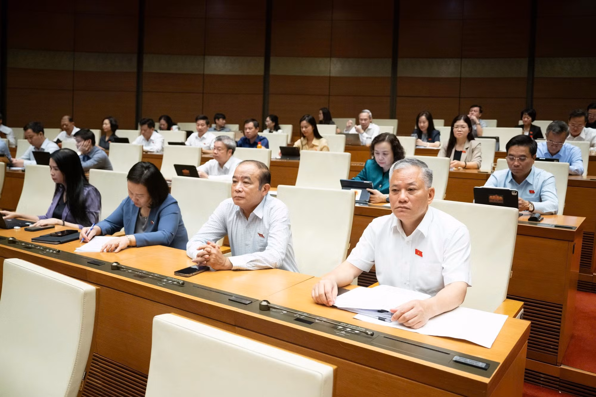 Các đại biểu Quốc hội dự phiên họp.