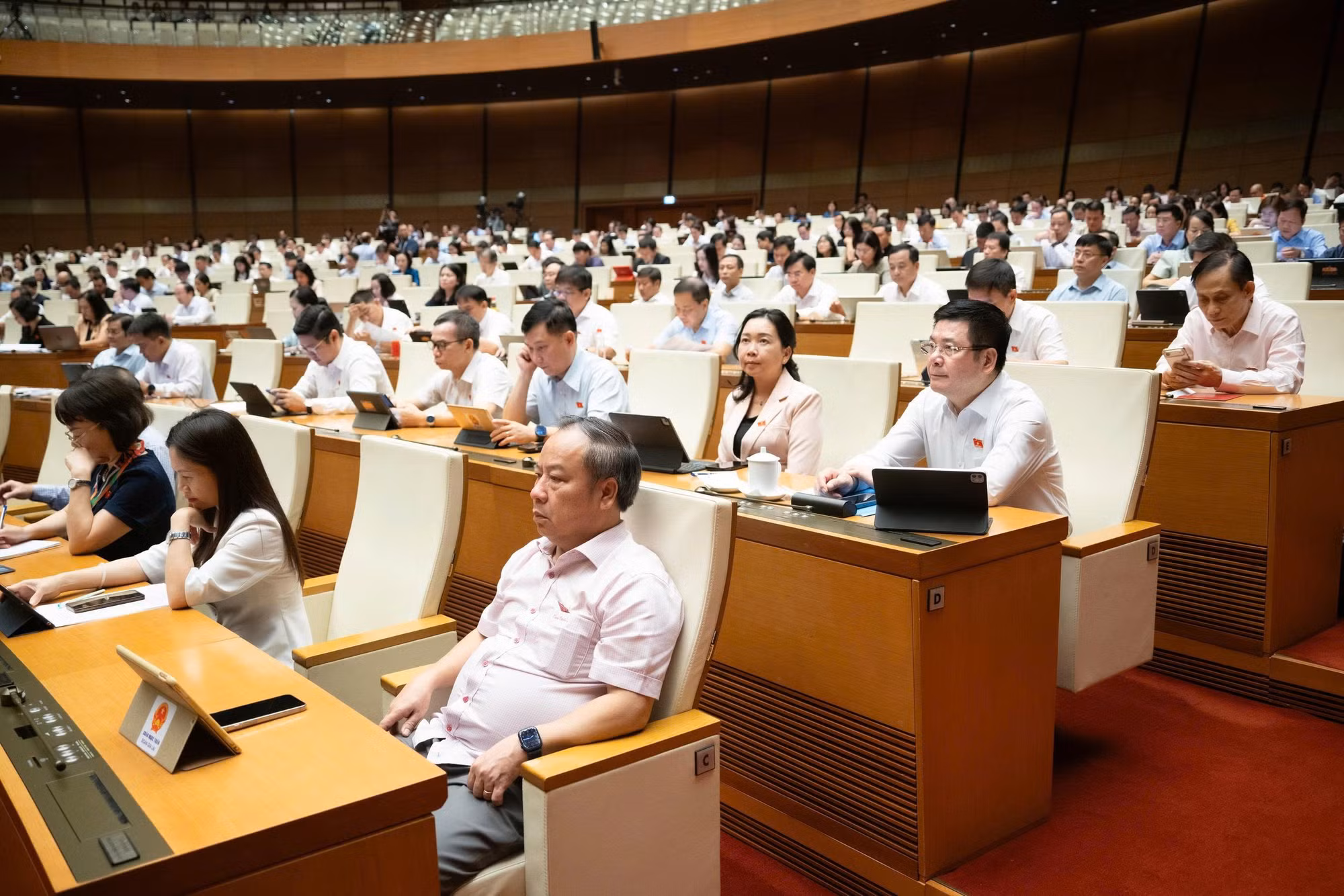 Các đại biểu dự phiên họp.
