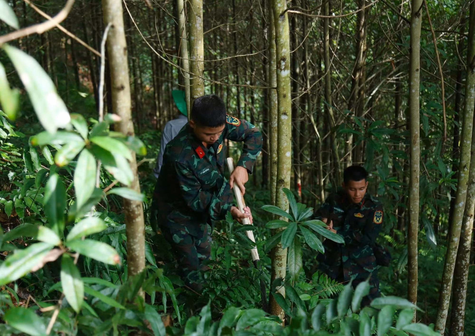duong-day-5002.jpg