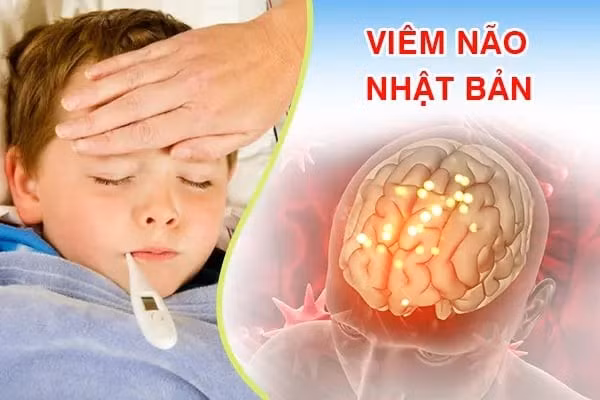 viem-nao-nb.jpg