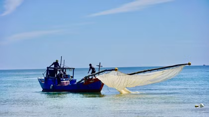 Rộn ràng mùa ruốc trên biển Bảo Ninh