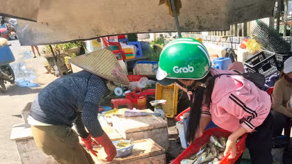 Cá nóc: Món ngon hay canh bạc với tử thần?