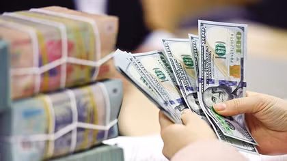 Hoá giải nỗi lo tỷ giá 