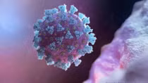 WHO cảnh báo COVID-19 không bao giờ biến mất giống HIV