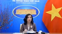 Việt Nam bình luận về việc Anh nộp đơn xin gia nhập CPTPP