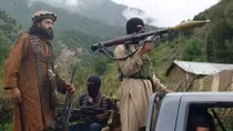Afghanistan bất ngờ ngừng bắn với Taliban sau vòng đàm phán bí mật