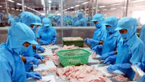 Doanh nghiệp Hàn muốn đầu tư vào ngành chế biến thực phẩm tại Việt Nam