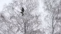 Sóng yếu, nam sinh Nga trèo lên cây nghe giảng qua Zoom