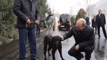 Tổng thống Putin được tặng ngựa, chó quý khi công du Kyrgyzstan