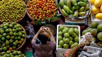 Đại biểu Quốc hội "hiến kế" phát triển ngành nông nghiệp