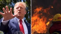 (NÓNG TUẦN QUA) Ông Trump tung đòn thuế hiểm, "Lá phổi của hành tinh" khẩn thiết kêu cứu