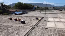 100 triệu USD để cải thiện năng suất nông nghiệp vì hạn hán
